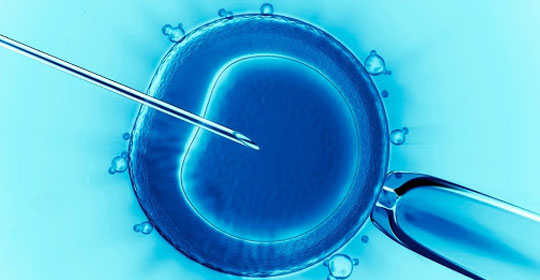 3a turma do STJ decide que planos não devem arcar com fertilização in vitro
