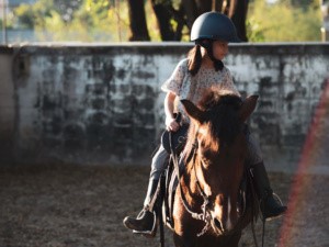 PLANO DE SAÚDE DEVE COBRIR MUSICOTERAPIA PARA AUTISMO MAS NÃO TRATAMENTO COM CAVALOS