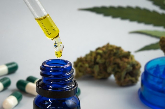 PRODUÇÃO ARTESANAL DE CANNABIS PARA USO MEDICINAL NÃO É CRIME